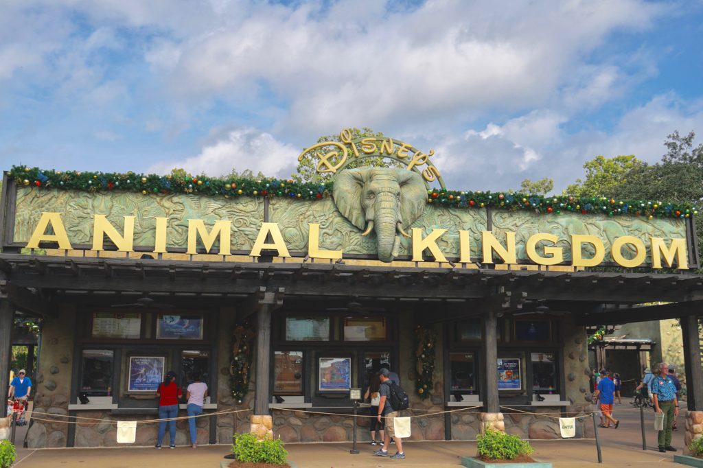 Photo of the entrance to Animal Kingdom theme park at Disney World